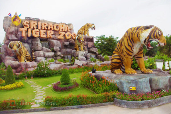 Tour Thái Lan (Thăm vườn nhiệt đới NongNooch) - 5 ngày - Từ Hà Nội - Ảnh 7