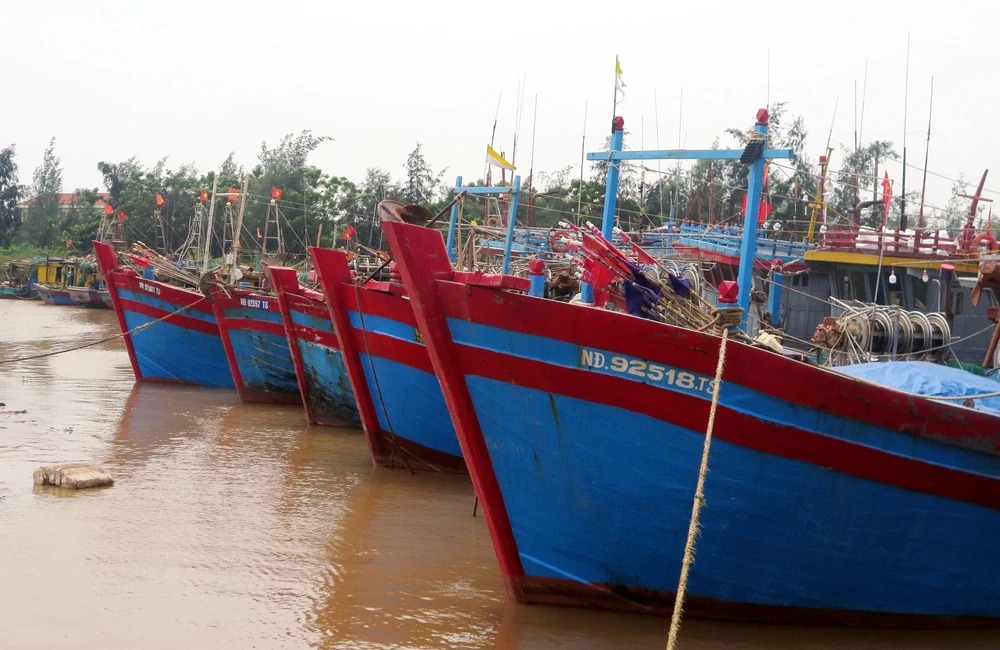 Nhiều tàu thuyền được đưa vào bờ an toàn