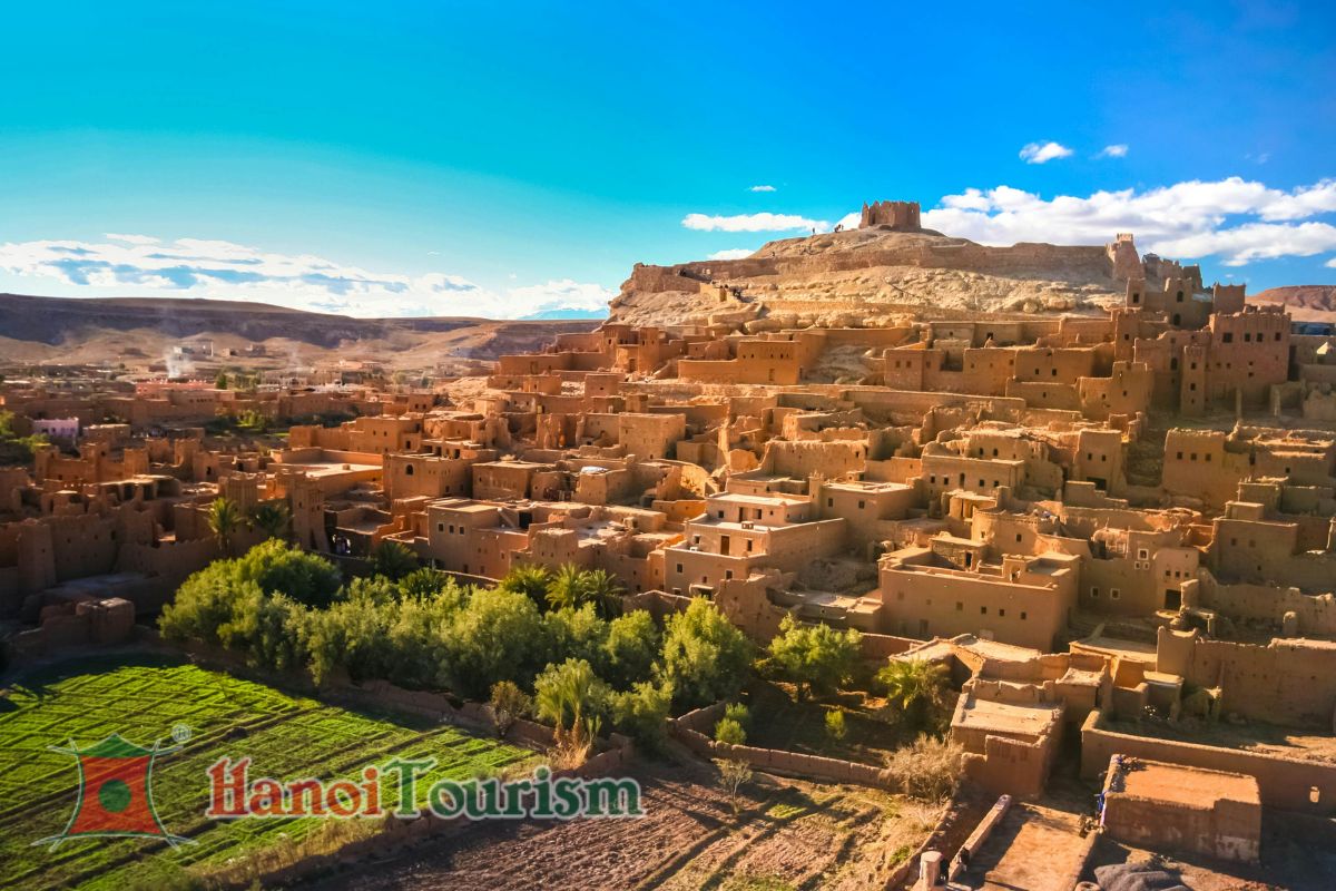 rừng tuyết tùng Azrou - Maroc