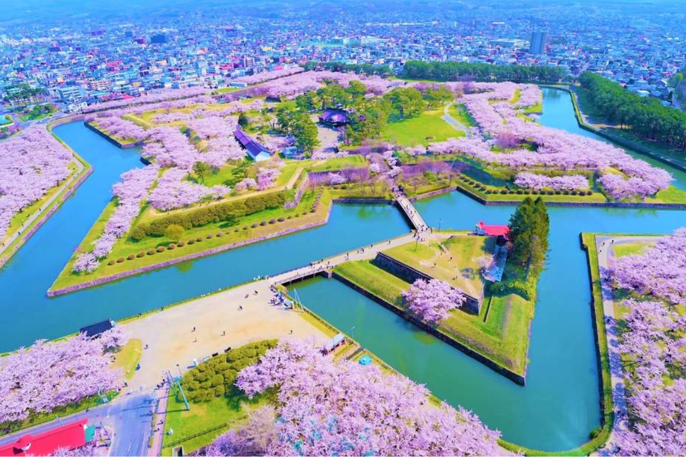 Hokkaido mùa hoa anh đào